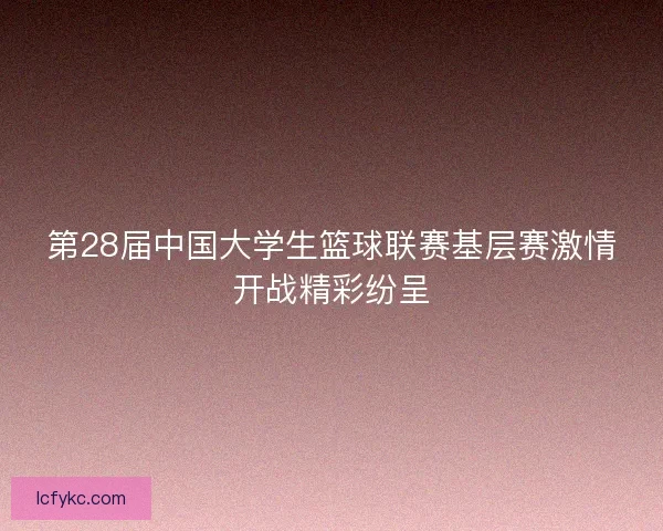 第28届中国大学生篮球联赛基层赛激情开战精彩纷呈